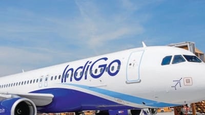 Indigo responded to the woman's post and asked her for the details of her flight. Indigo responded to the woman's post and asked her for the details of her flight.