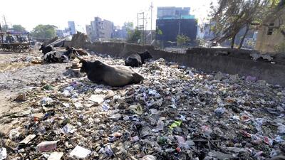 On Friday, the authority team had imposed a fine of ₹25,000 each against two contractors who were found violating rule, and not cleaning the garbage from sectors 36, 37 and other areas. (Sunil Ghosh/HT Photo (reprensentational image)) On Friday, the authority team had imposed a fine of ₹25,000 each against two contractors who were found violating rule, and not cleaning the garbage from sectors 36, 37 and other areas. (Sunil Ghosh/HT Photo (reprensentational image))
