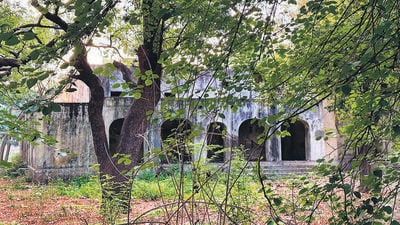Rajpur Road and its nearby avenues are swathed in affluent serenity. (HT Photo) Rajpur Road and its nearby avenues are swathed in affluent serenity. (HT Photo)