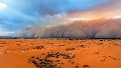 In case you are caught inside a dust storm while driving, you should slow down and pull over. We should try to avoid trees while parking.&nbsp; (Unsplash)
