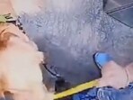 The image shows a dog walker beating a Golden Retriever inside an elevator in Gurugram. 