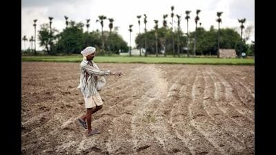 Food security of the world’s most populous nation is closely linked to the availability of fertilisers. (Representational image) Food security of the world’s most populous nation is closely linked to the availability of fertilisers. (Representational image)
