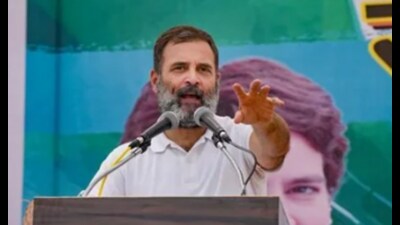 Rahul Gandhi (File) Rahul Gandhi (File)