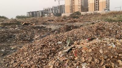 The District Development Residents Welfare Association (DDRWA), an umbrella body of residents, has appealed to the authorities to take necessary action in the matter. (HT Photo) The District Development Residents Welfare Association (DDRWA), an umbrella body of residents, has appealed to the authorities to take necessary action in the matter. (HT Photo)