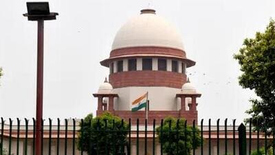 The bench noted that the legal profession is sui generis - unique in nature and cannot be compared to any other profession. (HT file photo) The bench noted that the legal profession is sui generis - unique in nature and cannot be compared to any other profession. (HT file photo)