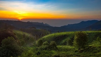 Ooty: In the Nilgiris district of Tamil Nadu, Ooty is known for its picturesque landscapes, scenic beauty and breathtaking views of the mountains. Imagine sipping coffee by the mountain with your family, while enjoying the best sunset of your lives. (Unsplash) Ooty: In the Nilgiris district of Tamil Nadu, Ooty is known for its picturesque landscapes, scenic beauty and breathtaking views of the mountains. Imagine sipping coffee by the mountain with your family, while enjoying the best sunset of your lives. (Unsplash)