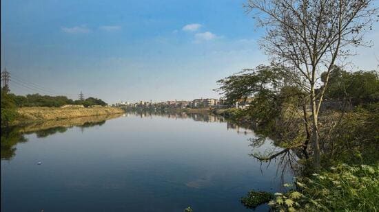 Unlike other man-made canals, the Najafgarh drain was built along the course of Sahibi River. (HT Archive)