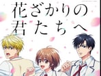 The Hana-Kimi anime adaptation is in the works. The Hana-Kimi anime adaptation is in the works.