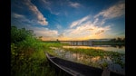 A view of the landscape of Assam. (Shutterstock)
