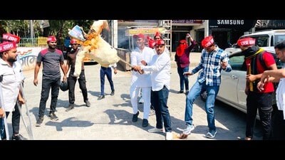 Activist of Samajwadi Party Chhatra Sabha protesting against minister’s son in Agra on Wednesday . (HT photo) Activist of Samajwadi Party Chhatra Sabha protesting against minister’s son in Agra on Wednesday . (HT photo)