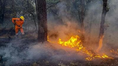 An NDRF personnel tries to control a fire that broke out in the forest of Pauri Garhwal district on May 14. (PTI)