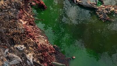 As per the officials, the environment department of PCMC had received several complaints in the past regarding toxic chemical-contaminated water released in Indrayani River. (HT PHOTO) As per the officials, the environment department of PCMC had received several complaints in the past regarding toxic chemical-contaminated water released in Indrayani River. (HT PHOTO)
