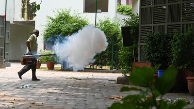 Eliminate Mosquito Breeding Grounds: Regularly inspect your surroundings and eliminate potential mosquito breeding grounds by emptying stagnant water from containers, gutters, and other areas where water can accumulate. (File Photo) Eliminate Mosquito Breeding Grounds: Regularly inspect your surroundings and eliminate potential mosquito breeding grounds by emptying stagnant water from containers, gutters, and other areas where water can accumulate. (File Photo)