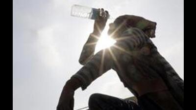 The minimum temperature also rose from 20.9°C to 22.4°C, but was still 1.4 degree below normal in tricity. (HT file photo)