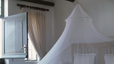 Install Window and Door Screens: Ensure that windows and doors have tight-fitting screens to prevent mosquitoes from entering your home. (AFP) Install Window and Door Screens: Ensure that windows and doors have tight-fitting screens to prevent mosquitoes from entering your home. (AFP)