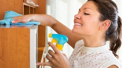 Maintain Cleanliness and Hygiene: Practice good hygiene by keeping your surroundings clean and maintaining proper sanitation measures to discourage mosquito breeding. (Shutterstock) Maintain Cleanliness and Hygiene: Practice good hygiene by keeping your surroundings clean and maintaining proper sanitation measures to discourage mosquito breeding. (Shutterstock)
