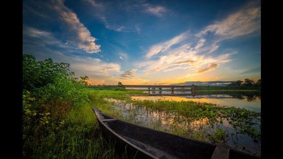A view of the landscape of Assam. (Shutterstock)