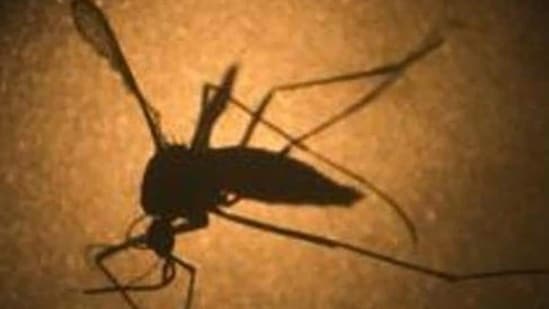 When we step outside or enter a place with lots of mosquitoes, we should ensure that the maximum part of our bodies is covered in clothes.&nbsp;