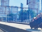 King of fruits travels ticketless in trains King of fruits travels ticketless in trains