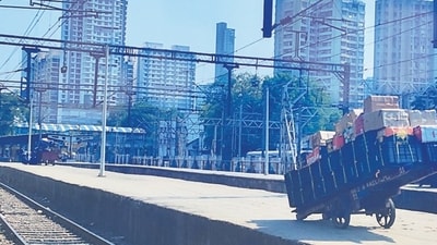King of fruits travels ticketless in trains