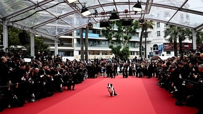 Decoding Cannes Film Festival: Guide to Côte d’Azur spectacle where cinema and glamour collide at French Riviera (Photo by Twitter/kaalicharan) Decoding Cannes Film Festival: Guide to Côte d’Azur spectacle where cinema and glamour collide at French Riviera (Photo by Twitter/kaalicharan)
