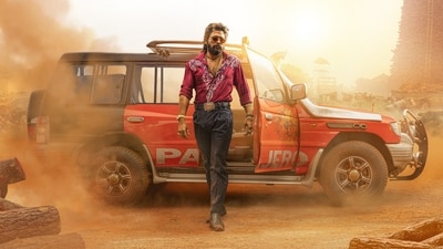 Allu Arjun in a still from Pushpa 2: The Rule.