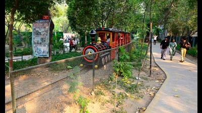 The applicant raised concerns about unauthorised commercial activities, including the charging of hefty fee for rides and the operation of a cafeteria. (Gurpreet Singh/HT) The applicant raised concerns about unauthorised commercial activities, including the charging of hefty fee for rides and the operation of a cafeteria. (Gurpreet Singh/HT)