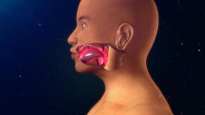 The symptoms of Hereditary Angioedema include swelling in the face, hands, feet, and even the airways, which can cause breathing difficulties in a patient. HAE attacks can happen suddenly and without warning, and it can be quite painful. (Shutterstock) The symptoms of Hereditary Angioedema include swelling in the face, hands, feet, and even the airways, which can cause breathing difficulties in a patient. HAE attacks can happen suddenly and without warning, and it can be quite painful. (Shutterstock)