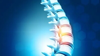 Remaining in one position for a long time can strain the spine. We should stay in motion and move our bodies occasionally.&nbsp; (Unsplash)