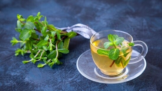 Herbal tea and infused drinks: Hydration is key, so don't forget to sip on water, herbal teas, and natural fruit-infused drinks throughout the day.&nbsp; Image courtesy: Shutterstock(Shutterstock)