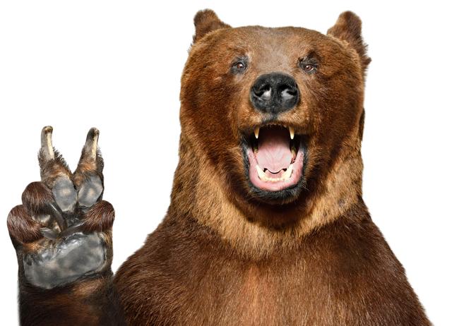 Women feel safer with a bear than with a strange man in the Man vs Bear debate. (ADOBE STOCK) Women feel safer with a bear than with a strange man in the Man vs Bear debate. (ADOBE STOCK)