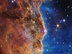 carina