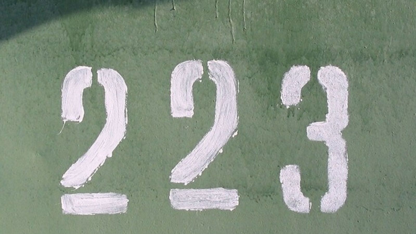 What does Angel number 223 mean in love, twin flame and career growth? Find out - Vimarsana News