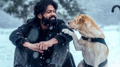 Rakshit Shetty in a still from 777 Charlie. Rakshit Shetty in a still from 777 Charlie.