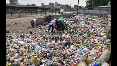 Despite directives from the tribunal, the municipal corporation’s reply dated March 10 remains vague, failing to confirm whether the waste has been cleared. (Manish/HT)