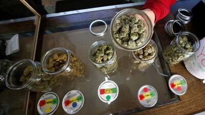 A volunteer displays jars of dried cannabis buds at the La Brea Collective medical marijuana dispensary in Los Angeles, California, March 18, 2014. REUTERS/Lucy Nicholson/File Photo (REUTERS)