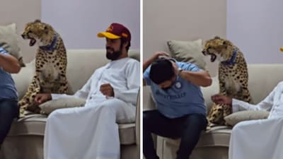 Nouman Hassan was scratched by the cheetah in the viral video. (Instagram/nouman.hassan1) Nouman Hassan was scratched by the cheetah in the viral video. (Instagram/nouman.hassan1)