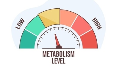 "Ever wondered what happens when your metabolism slows down? Here’s what you might experience: Easy weight gain as your body burns calories more slowly, constant fatigue due to inefficient energy conversion, increased sensitivity to cold as your body produces less heat, sluggish digestion leading to bloating or constipation, and rising cholesterol levels," says Nutritionist Karishma Shah in her recent Instagram post. (Freepik) "Ever wondered what happens when your metabolism slows down? Here’s what you might experience: Easy weight gain as your body burns calories more slowly, constant fatigue due to inefficient energy conversion, increased sensitivity to cold as your body produces less heat, sluggish digestion leading to bloating or constipation, and rising cholesterol levels," says Nutritionist Karishma Shah in her recent Instagram post. (Freepik)