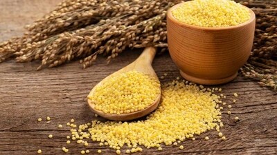 Millets are rich in antioxidants with loads of vitamins and minerals that can help reduce oxidative stress. (Shutterstock) Millets are rich in antioxidants with loads of vitamins and minerals that can help reduce oxidative stress. (Shutterstock)