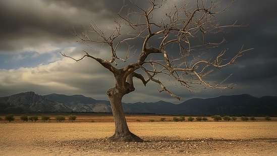(Image generated via Midjourney)