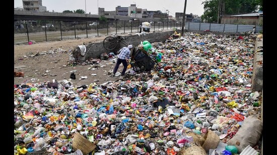 Despite directives from the tribunal, the municipal corporation’s reply dated March 10 remains vague, failing to confirm whether the waste has been cleared. (Manish/HT)