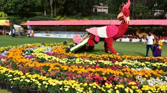 Tamil Nadu: Bryant Park in Kodaikanal transforms into floral wonderland for tourists (Photo by Twitter/PasumaiVikatan)