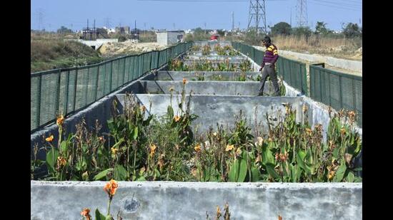 MPCB on May 15 issued a fresh directive to PCMC to submit a time-bound action plan for upgradation of existing STPs in its jurisdictions. ((PIC FOR REPRESENTATION))