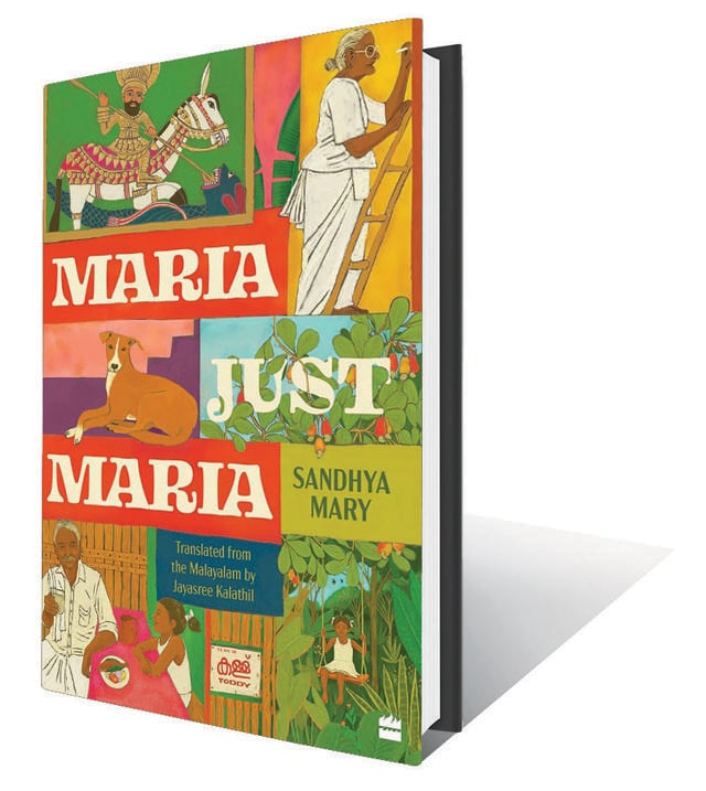 235pp, ₹499; Harper Collins 235pp, ₹499; Harper Collins