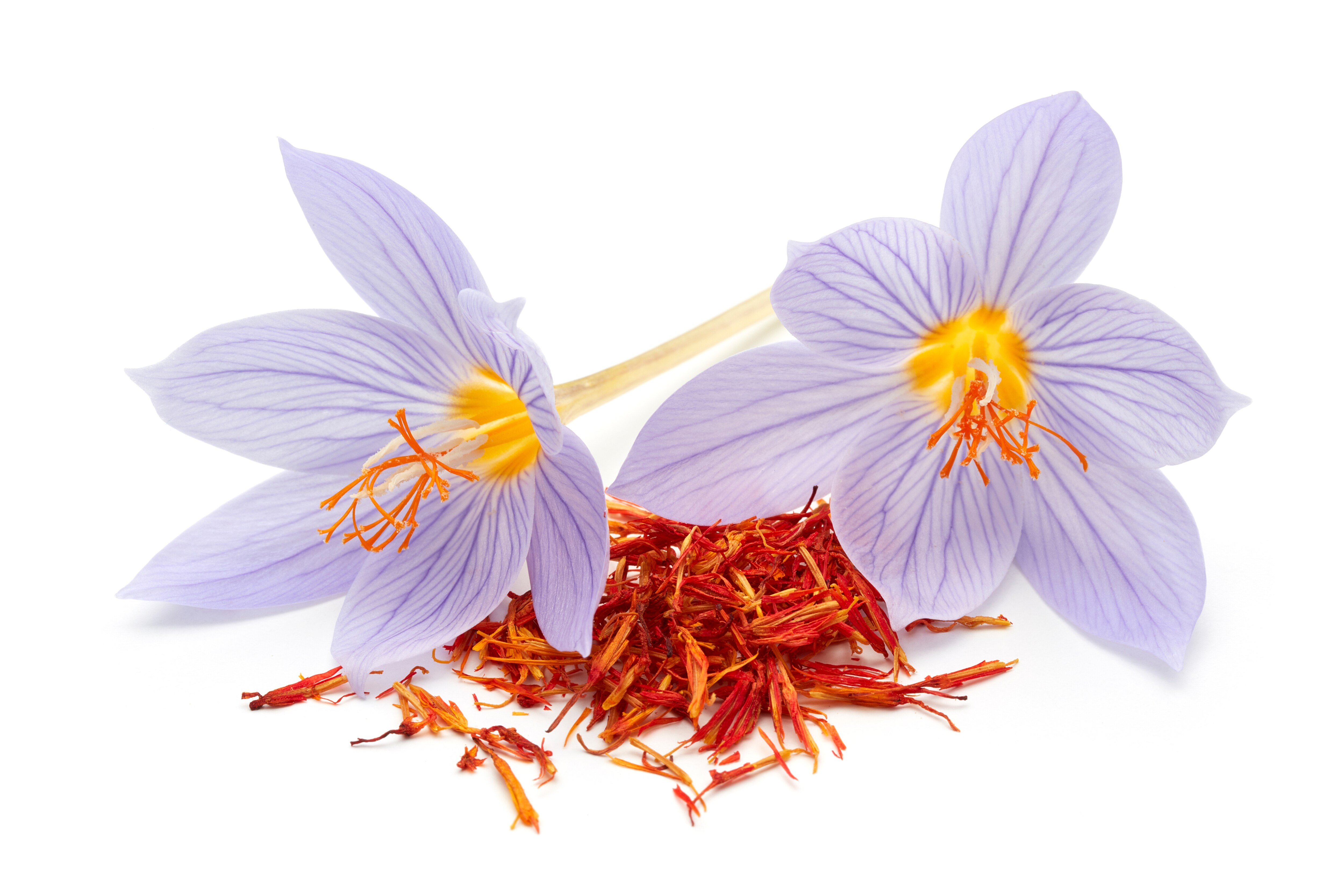Buyers are sometimes sold strips of artificially coloured, aromatised paper instead of saffron. (ADOBE STOCK) Buyers are sometimes sold strips of artificially coloured, aromatised paper instead of saffron. (ADOBE STOCK)
