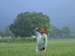IMD has predicted monsoon to be ‘above normal’. (Sanjeev Kumar / HT Photo)