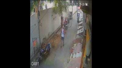 A screen grab from the CCTV footage where the elderly is seen carrying the puppies in his both hands (Sourced)