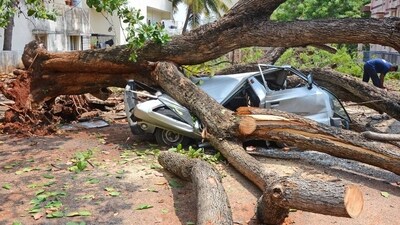 Bengaluru rains: Here is how to alert civic body about dangerous trees around Bengaluru rains: Here is how to alert civic body about dangerous trees around