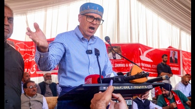 Jammu and Kashmir National Conference (JKNC) Vice-President and party candidate from Baramulla constituency Omar Abdullah addressing an election rally at Magam for the Lok Sabha polls, in Budgam on Saturday. (PTI)