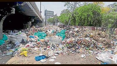 Shopkeepers allege they are losing out on customers due to the ‘stench and filth’. (Manish/HT)